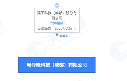 錘子科技關(guān)聯(lián)公司與溫洪喜遭消費限制 軟件及輔助設(shè)備業(yè)務(wù)前景生變
