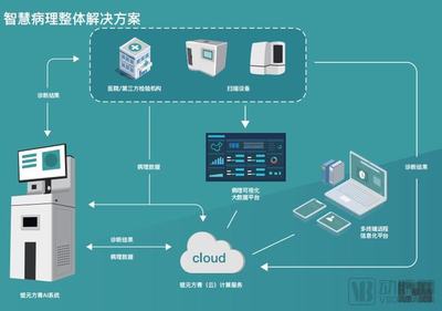 錕元方青 以病理專家視角引領創新，做智慧病理產業實踐的排頭兵